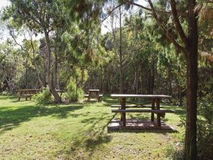 Illaroo group camping area - Accommodation Georgetown