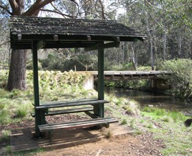 Barrington Tops State Forest - Accommodation Georgetown
