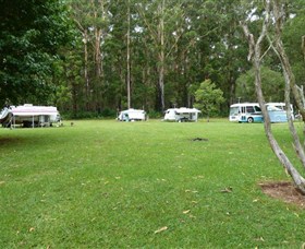 Coopernook Forest Park - Accommodation Georgetown