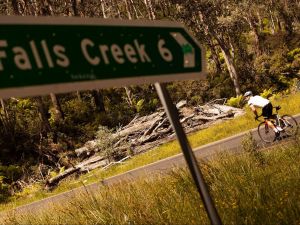 7 Peaks Ride - Falls Creek - Accommodation Georgetown
