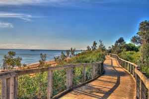 Frankston Foreshore - Cycling - Accommodation Georgetown