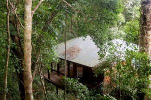 Cairns Reef  Rainforest BB - Accommodation Georgetown